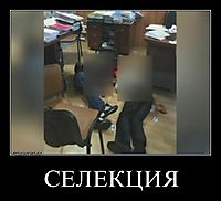 СЕЛЕКЦИЯ 