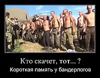 Кто скачет, тот... ? Короткая память у бандерлогов