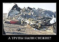 А ТРУПЫ БЫЛИ СВЕЖИЕ? 