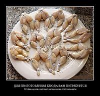 ДЛЯ ПРИГОТОВЛЕНИЯ БЛЮДА ВАМ ПОТРЕБУЕТСЯ 60 французов и автомат калашникова (с)ятожешарли