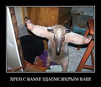 ХРЕН С ВАМИ! ЗДАЕМСЯ!КРЫМ ВАШ! 