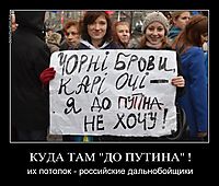 КУДА ТАМ "ДО ПУТИНА" ! их потолок - российские дальнобойщики