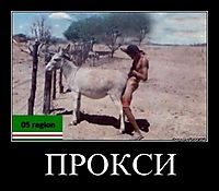 ПРОКСИ 