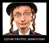 ЗДРАВСТВУЙТЕ, ЖИВОТНЫЕ. 