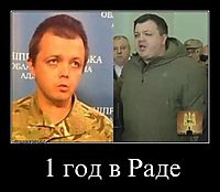 1 год в Раде 