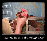 ГДЕ ЗАКРЫСЕННЫЙ С ЗАВОДА НАЛ? 