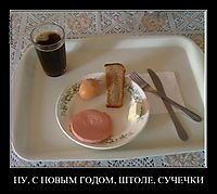 НУ, С НОВЫМ ГОДОМ, ШТОЛЕ, СУЧЕЧКИ 