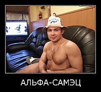 АЛЬФА-САМЭЦ 