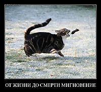 ОТ ЖИЗНИ ДО СМЕРТИ МНГНОВЕНИЕ 