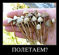 ПОЛЕТАЕМ? 