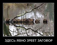 ЗДЕСЬ ЯВНО ЗРЕЕТ ЗАГОВОР 