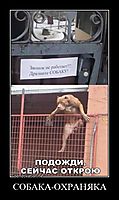 СОБАКА-ОХРАНЯКА 