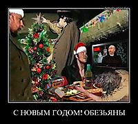 С НОВЫМ ГОДОМ! ОБЕЗЬЯНЫ 