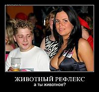 ЖИВОТНЫЙ РЕФЛЕКС