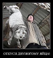 ОТКУСИ ДВУНОГОМУ ЯЙЦА! 