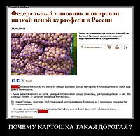 ПОЧЕМУ КАРТОШКА ТАКАЯ ДОРОГАЯ ? 