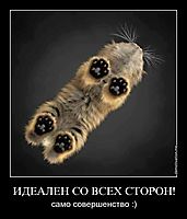 ИДЕАЛЕН СО ВСЕХ СТОРОН! само совершенство :)