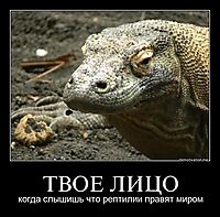 ТВОЕ ЛИЦО когда слышишь что рептилии правят миром