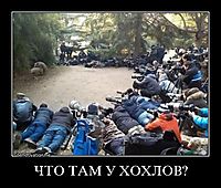 ЧТО ТАМ У ХОХЛОВ? 
