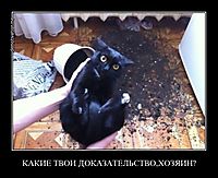 КАКИЕ ТВОИ ДОКАЗАТЕЛЬСТВО,ХОЗЯИН? 