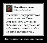 Всё, что вы хотели знать о внаУкраине 