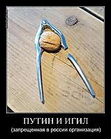 ПУТИН И ИГИЛ (запрещенная в россии организация)