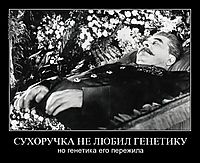 СУХОРУЧКА НЕ ЛЮБИЛ ГЕНЕТИКУ но генетика его пережила