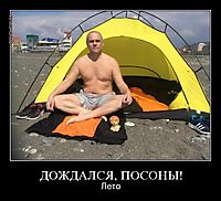 ДОЖДАЛСЯ, ПОСОНЫ! Лето