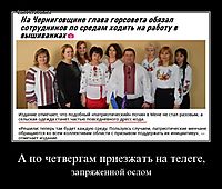 А по четвергам приезжать на телеге, запряженной ослом