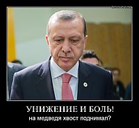 УНИЖЕНИЕ И БОЛЬ! на медведя хвост поднимал?