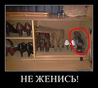 НЕ ЖЕНИСЬ! 