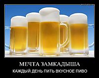 МЕЧТА ЗАМКАДЫША