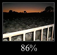 86% 