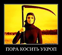 ПОРА КОСИТЬ УКРОП 