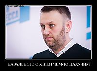 НАВАЛЬНОГО ОБЛИЛИ ЧЕМ-ТО ПАХУЧИМ 