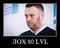 ЛОХ 80 LVL 