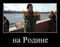 на Родине 