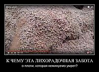 К ЧЕМУ ЭТА ЛИХОРАДОЧНАЯ ЗАБОТА о плоти, которая неминуемо умрет?