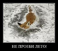 НЕ ПРОЕБИ ЛЕТО! 