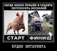 БУДНИ ИНТЕРНЕТА 