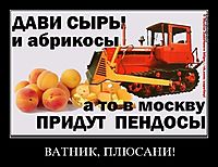 ВАТНИК, ПЛЮСАНИ! 