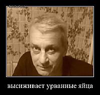 высиживает урванные яйца 