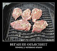 ВЕГАН НЕ ОБЪЯСНЯЕТ почему у человека клыки