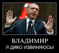 ВЛАДИМИР Я ДИКО ИЗВИНЯЮСЬ!