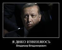 Я ДИКО ИЗВИНЯЮСЬ Владимир Владимирович