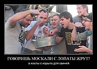ГОВОРИШЬ МОСКАЛИ С ЛОПАТЫ ЖРУТ? а хохлы с корыта для свиней