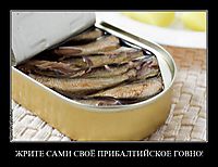 ЖРИТЕ САМИ СВОЁ ПРИБАЛТИЙСКОЕ ГОВНО! 