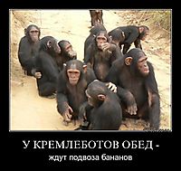 У КРЕМЛЕБОТОВ ОБЕД - ждут подвоза бананов