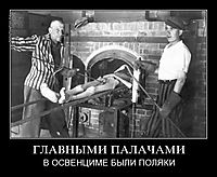ГЛАВНЫМИ ПАЛАЧАМИ В ОСВЕНЦИМЕ БЫЛИ ПОЛЯКИ