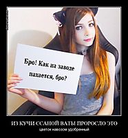 ИЗ КУЧИ ССАНОЙ ВАТЫ ПРОРОСЛО ЭТО цветок навозом удобренный